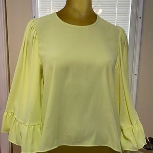 Zara Basic collection top